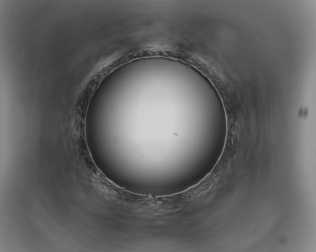 X0000097481207200802221344