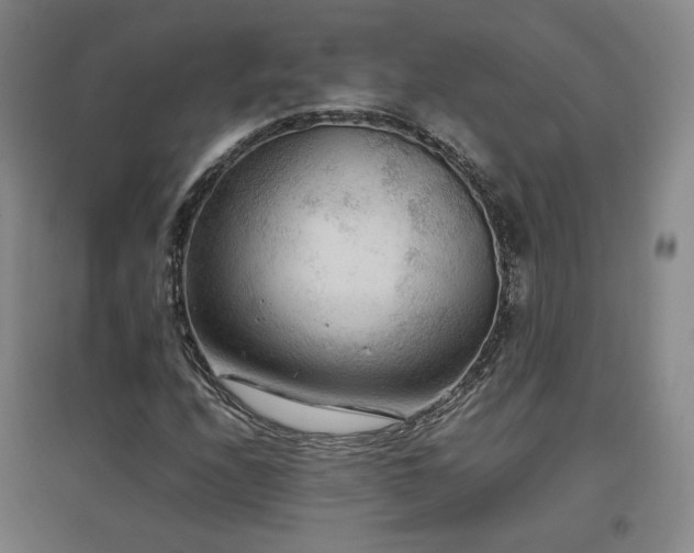 X0000097481208200802221344