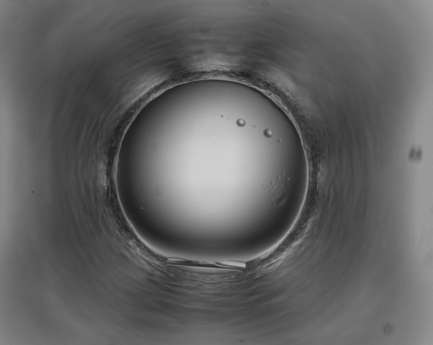 X0000097481209200802221344