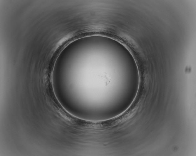 X0000097481210200802221344