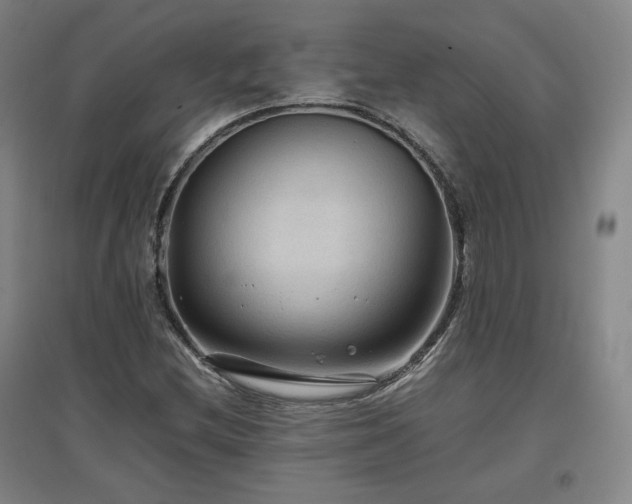 X0000097481212200802221344