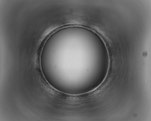 X0000097481215200802221344