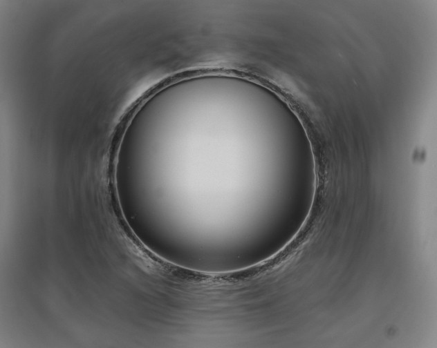 X0000097481216200802221344