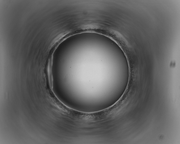 X0000097481217200802221344