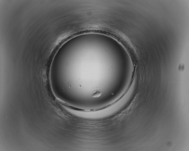 X0000097481218200802221344