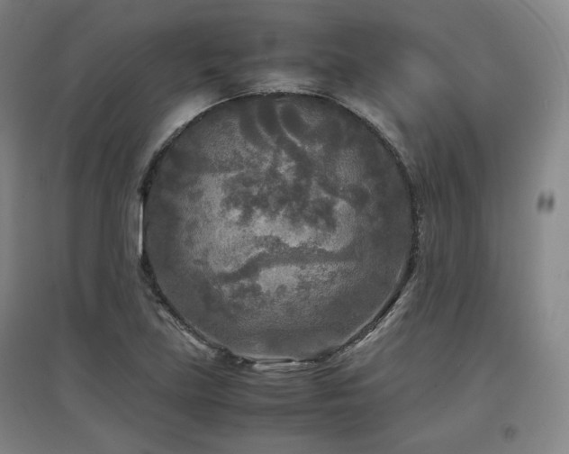 X0000097481219200802221344