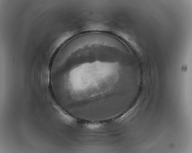 X0000097481221200802221344