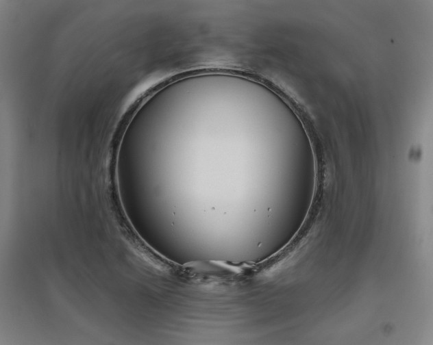 X0000097481222200802221344