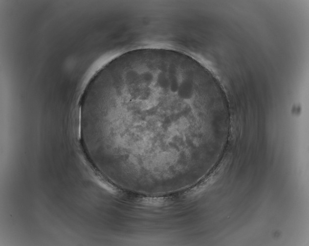 X0000097481223200802221344