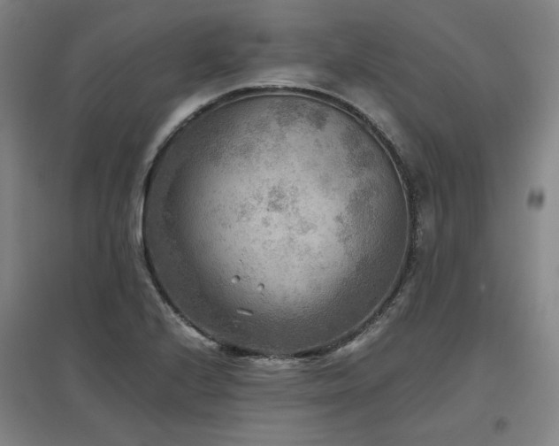X0000097481224200802221344