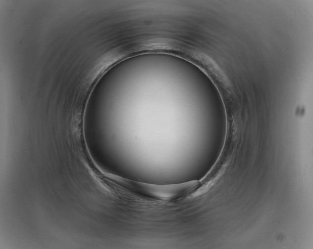 X0000097481225200802221344