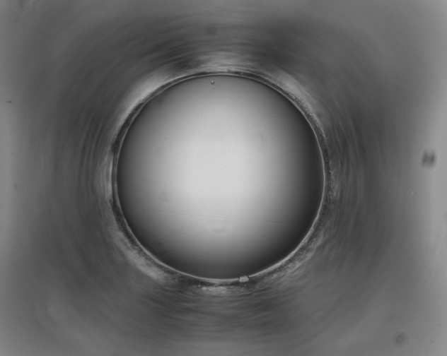 X0000097481227200802221344