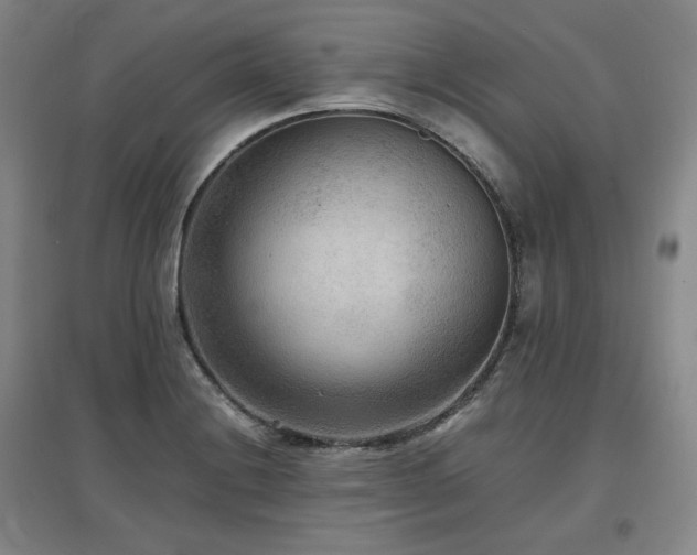 X0000097481228200802221344
