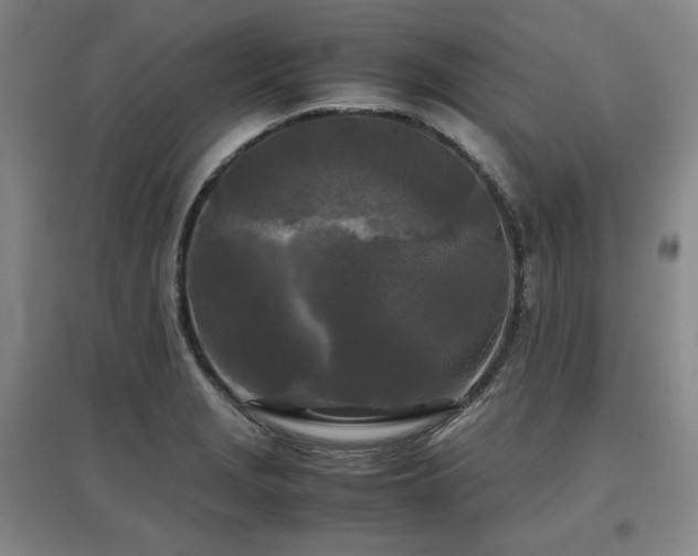 X0000097481229200802221344
