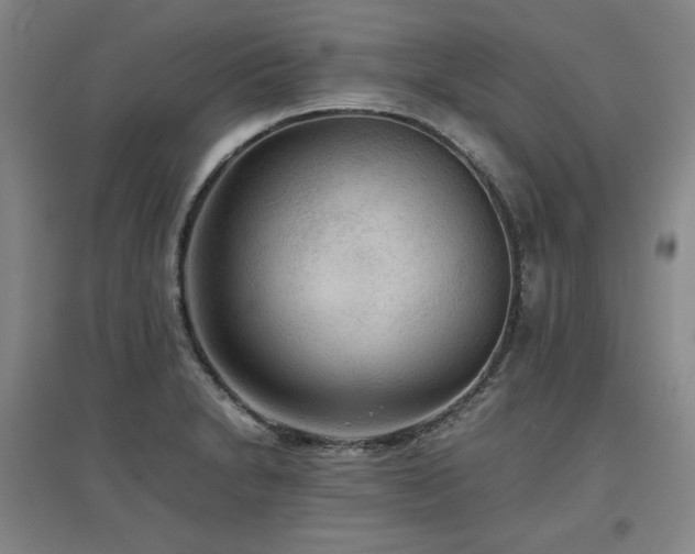 X0000097481230200802221344