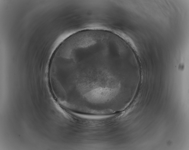 X0000097481231200802221344