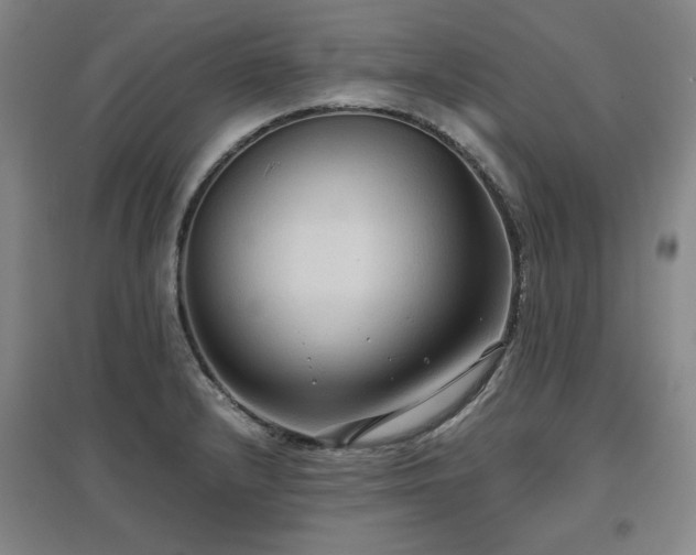 X0000097481232200802221344