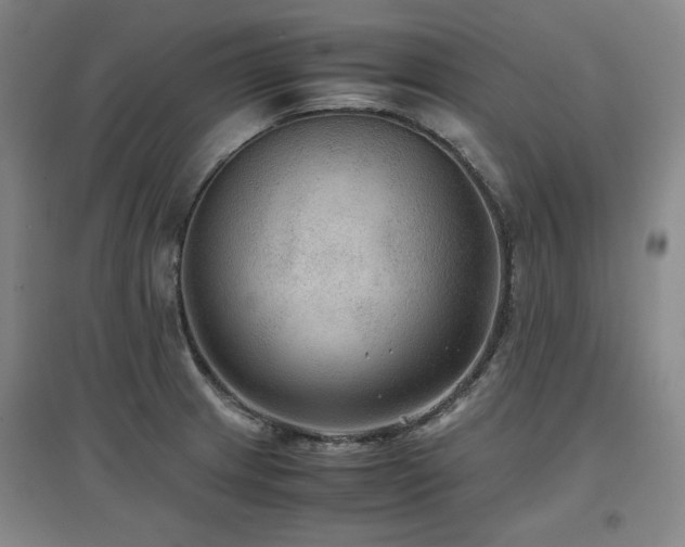 X0000097481233200802221345