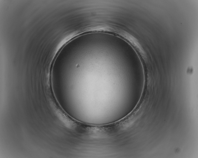 X0000097481234200802221345