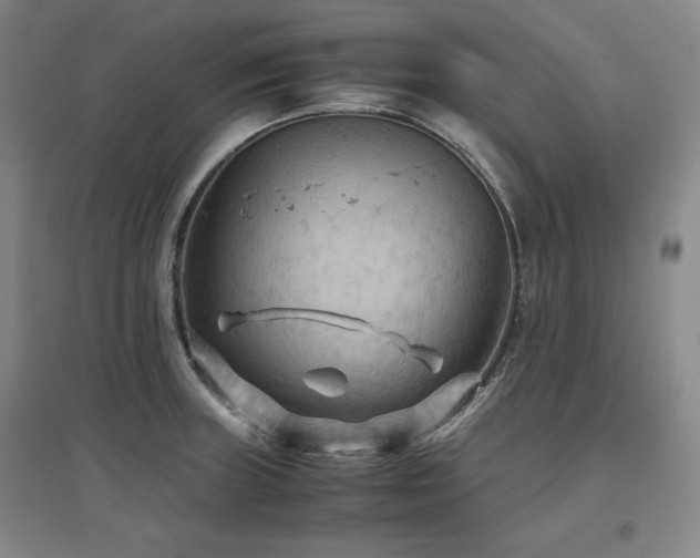 X0000097481235200802221345
