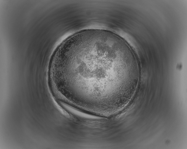 X0000097481237200802221345