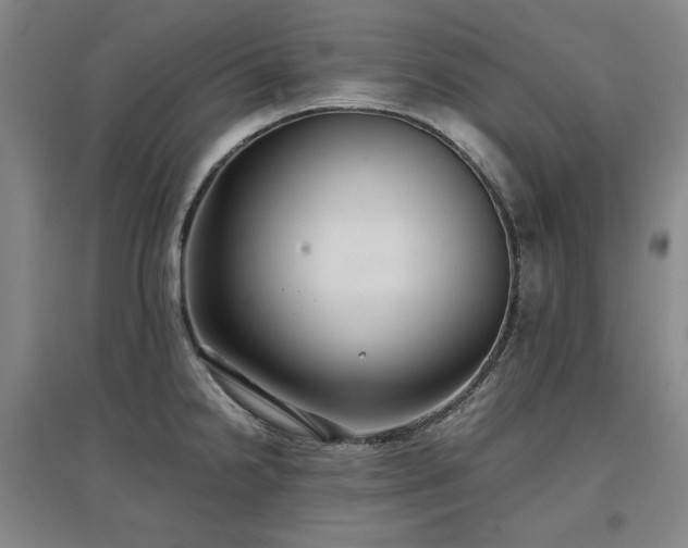X0000097481238200802221345