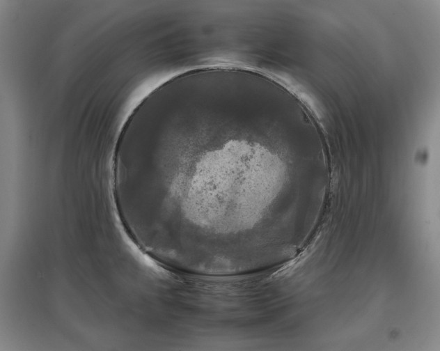 X0000097481239200802221345