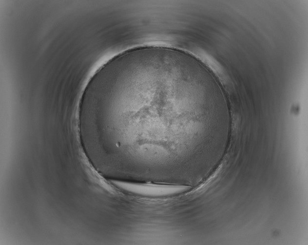X0000097481240200802221345