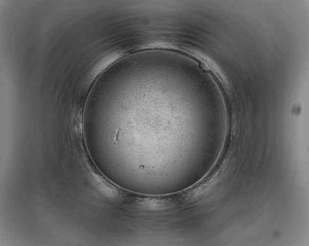 X0000097481241200802221345
