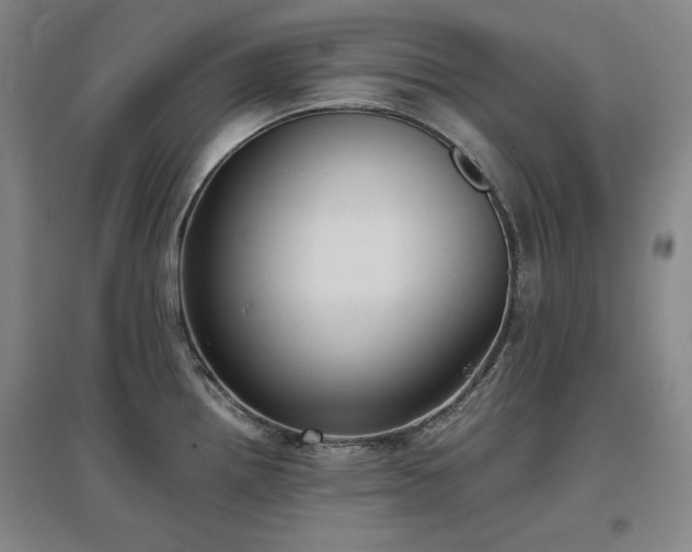 X0000097481242200802221345
