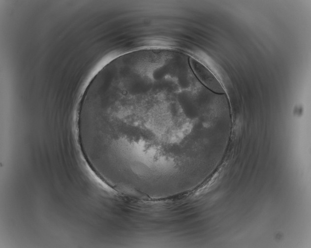 X0000097481243200802221345