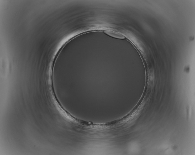X0000097481246200802221345