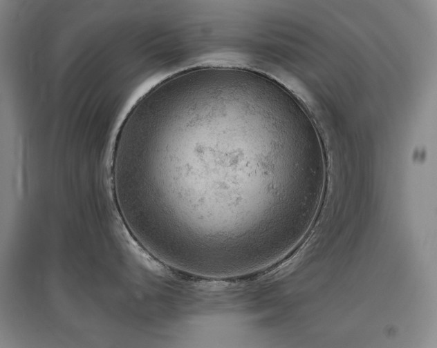 X0000097481248200802221345