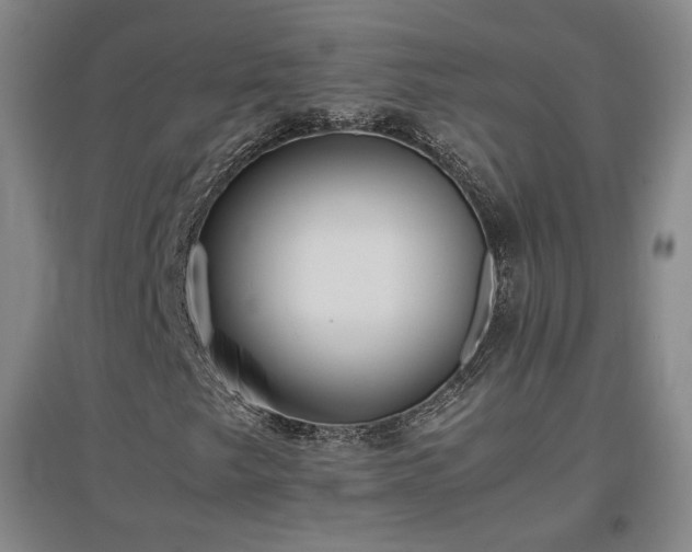X0000097481249200802221344
