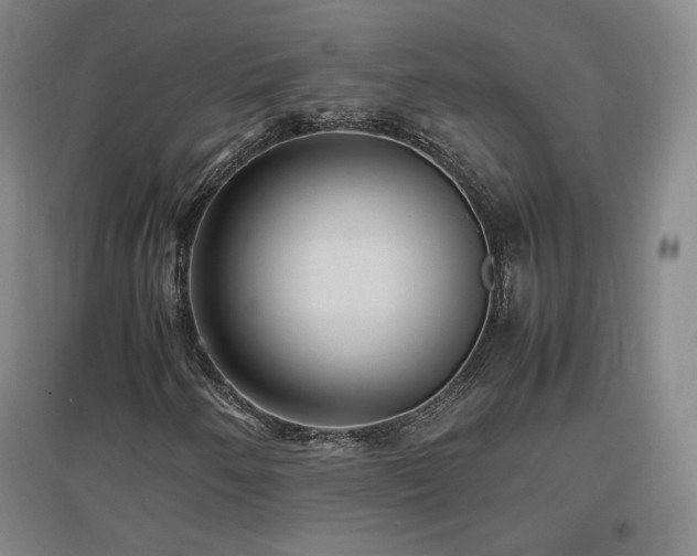 X0000097481250200802221344