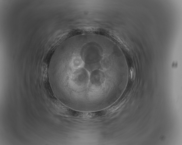 X0000097481251200802221344