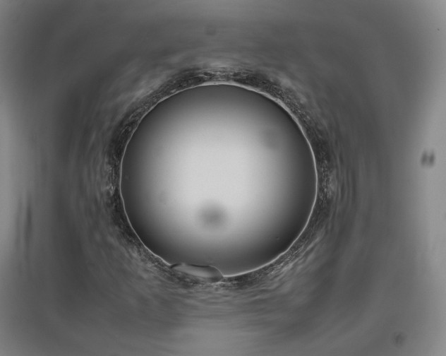X0000097481253200802221344