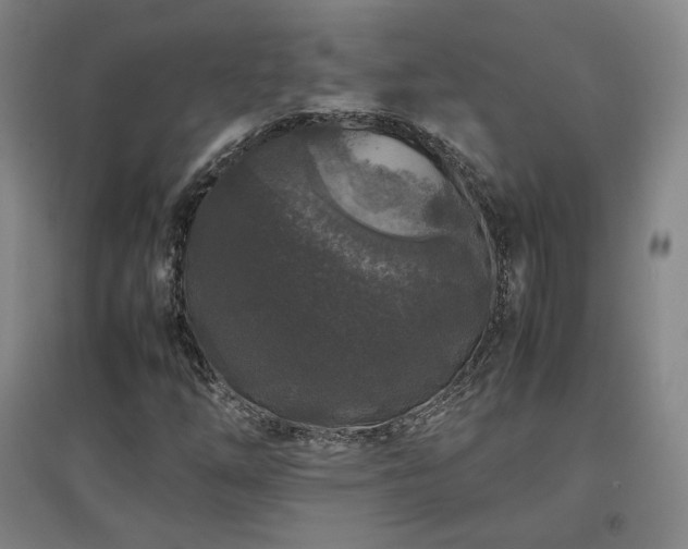 X0000097481254200802221344