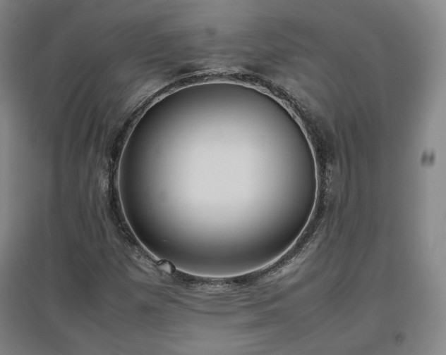 X0000097481257200802221344
