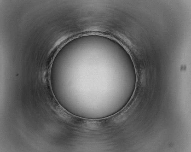 X0000097481258200802221344