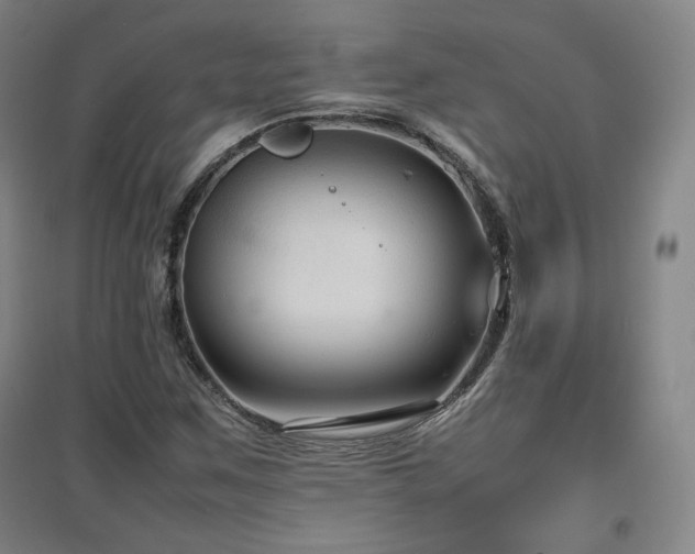 X0000097481259200802221344