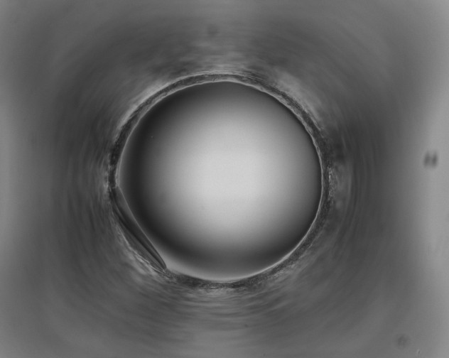 X0000097481260200802221344