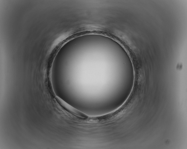 X0000097481261200802221344