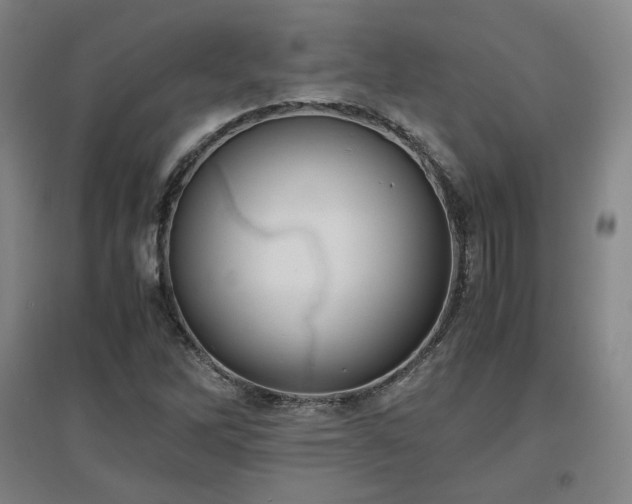 X0000097481262200802221344