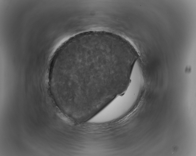 X0000097481263200802221344
