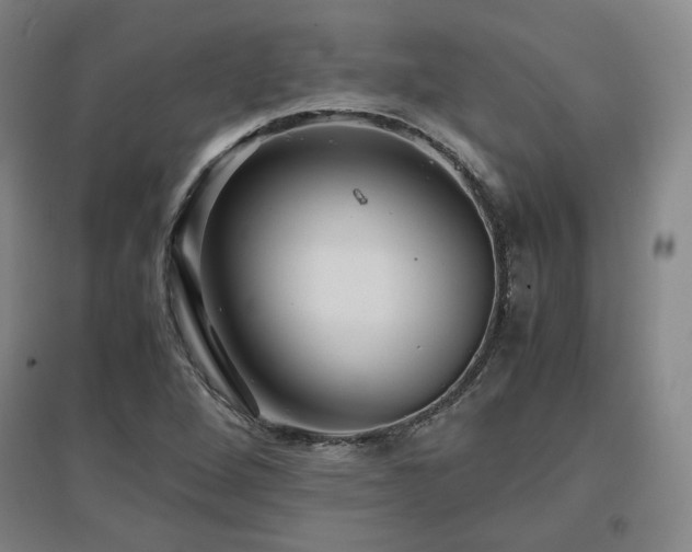 X0000097481264200802221344