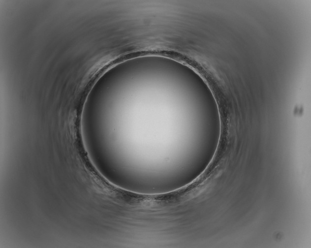 X0000097481265200802221344