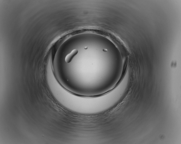 X0000097481266200802221344