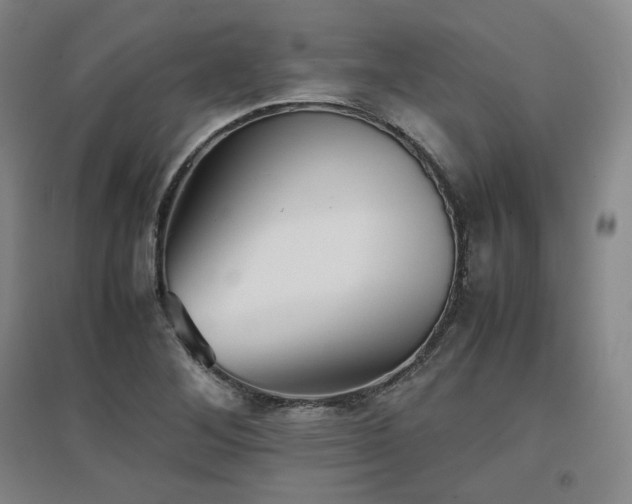 X0000097481268200802221344