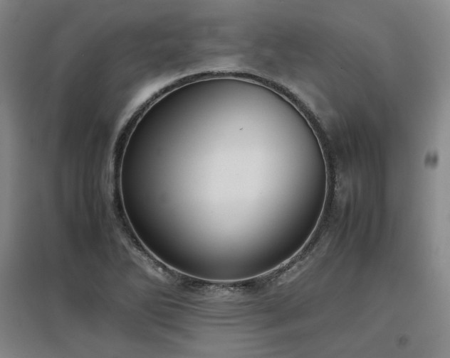 X0000097481270200802221344